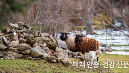 빵은 유대인의 주식이다 보니 유대 전통 풍습에서도 빵에 대한 태도가 유별난 점을 발견할 수 있다.