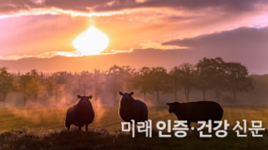 안전관리인증기준 관리기준