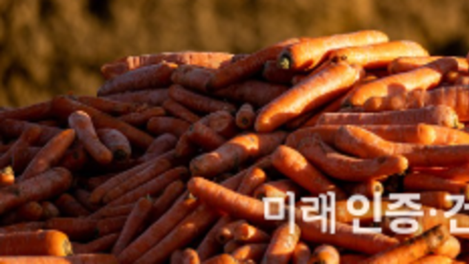 FAMI-QS 4. 조직상황