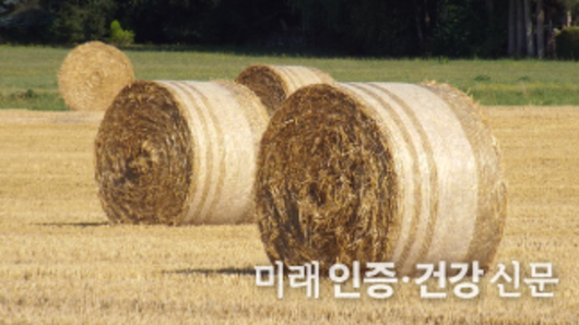 FAMI - QS 6. 기획