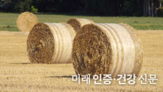 FAMI - QS 6. 기획