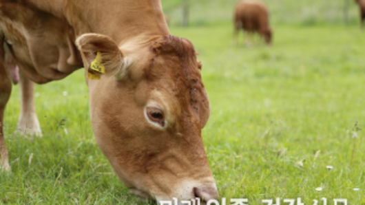 FAMI-QS, 7.7. 교차 오염 방지 대책