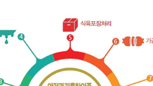 [기획보도] 해썹 인증, '벽 세워야 통과?'…형식주의가 만든 현장 혼란