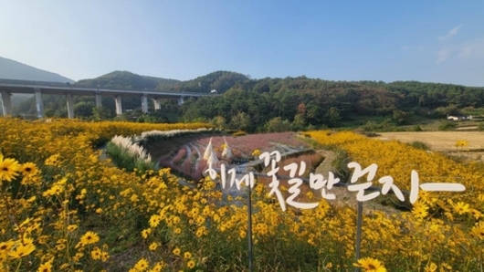 기장군, 일광 광산마을 오염된 장기휴경농지가 경관농업단지로 탈바꿈