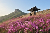 산청군, '제40회 산청황매산철쭉제' 4월 27일 축포