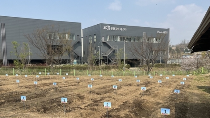 '작은 텃밭, 큰 행복' 마포구, 삼각텃밭 개장