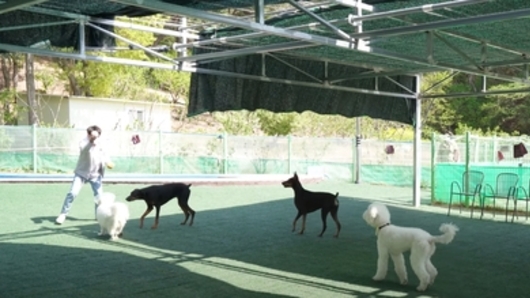 울산 남구, 애견운동공원 6월부터 야간개장