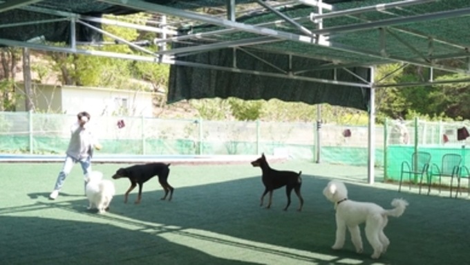 울산 남구, 애견운동공원 6월부터 야간개장